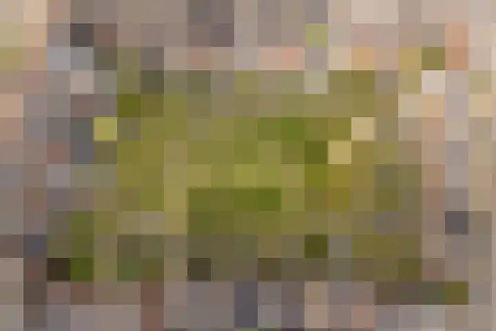 Sartreweg 97 Utrecht thumbnail 69