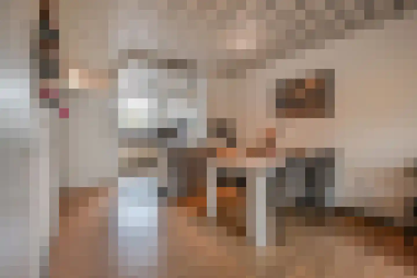 Sartrezijde 11 Zoetermeer thumbnail 10