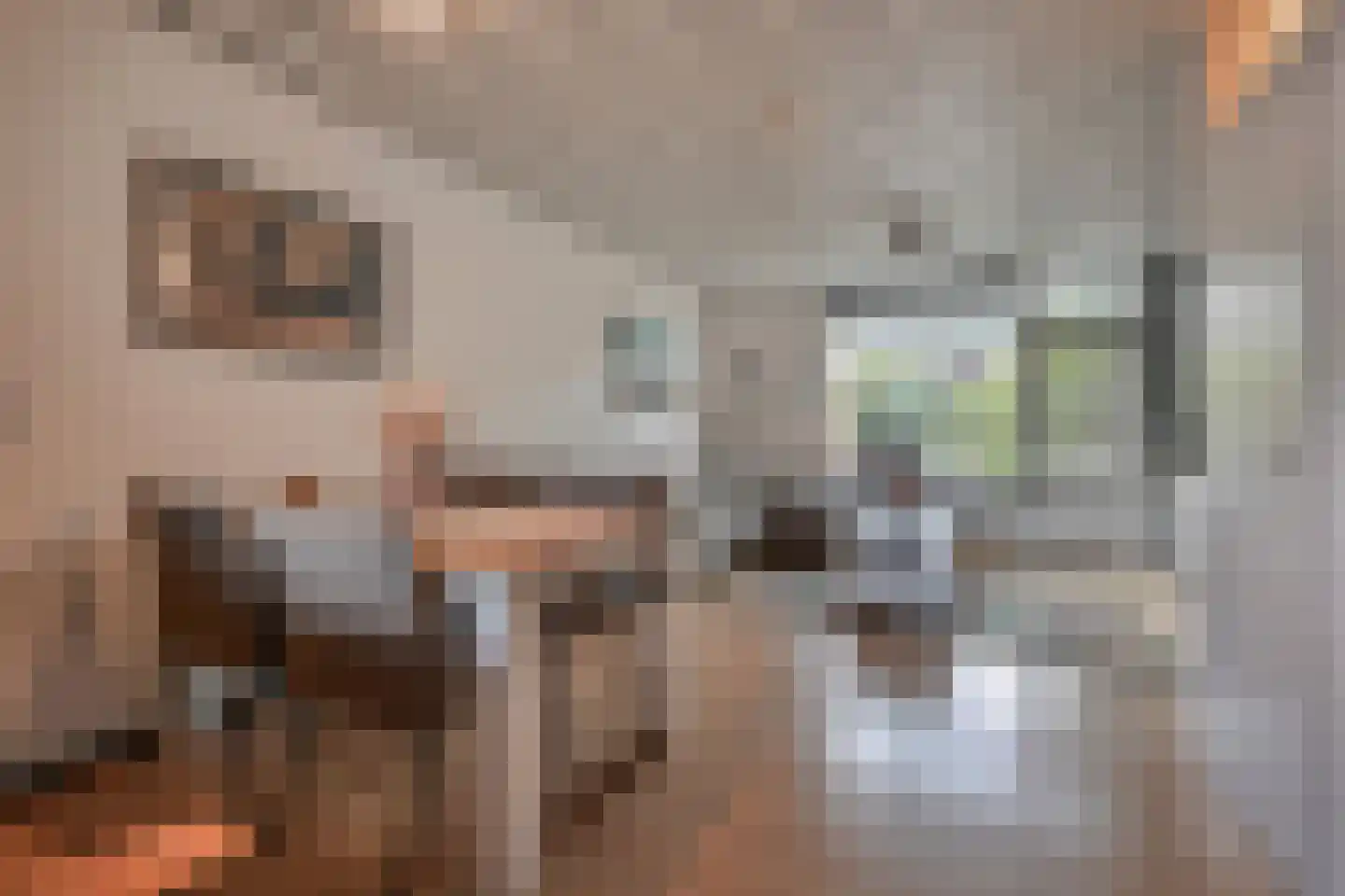 Sartrezijde 11 Zoetermeer thumbnail 11