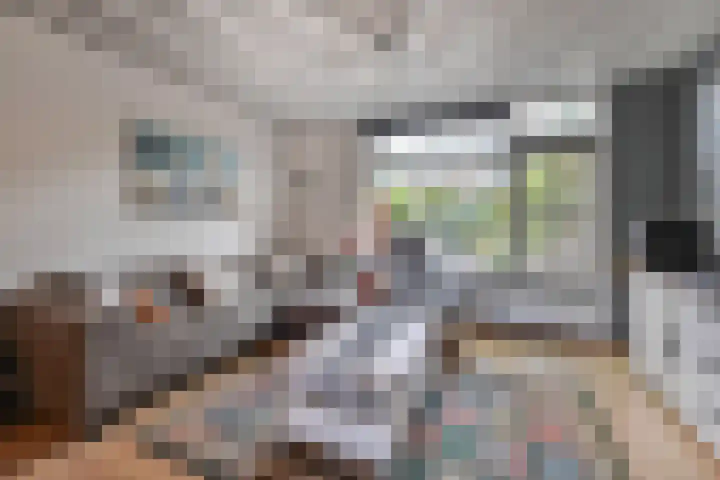 Sartrezijde 11 Zoetermeer thumbnail 12