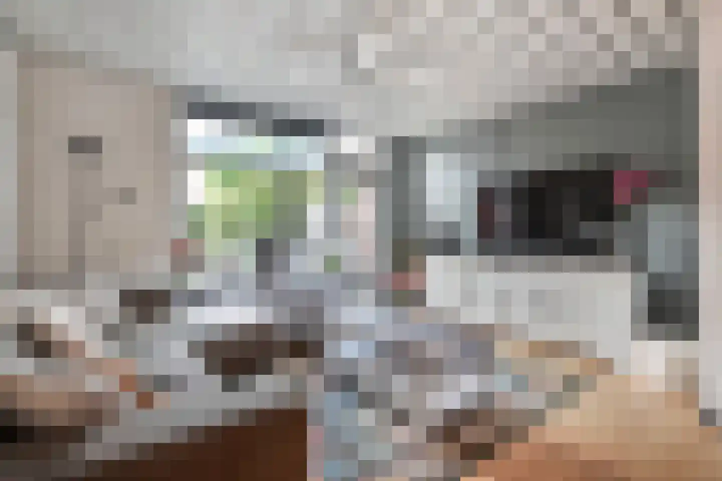 Sartrezijde 11 Zoetermeer thumbnail 13