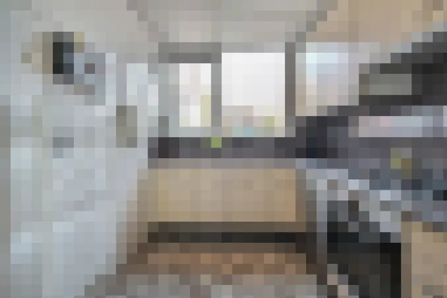 Sartrezijde 11 Zoetermeer thumbnail 15