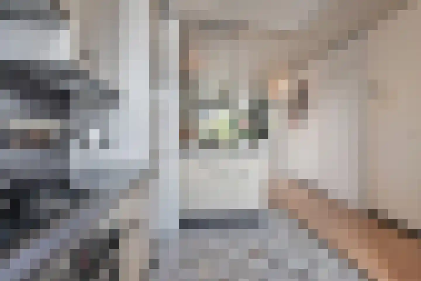 Sartrezijde 11 Zoetermeer thumbnail 16