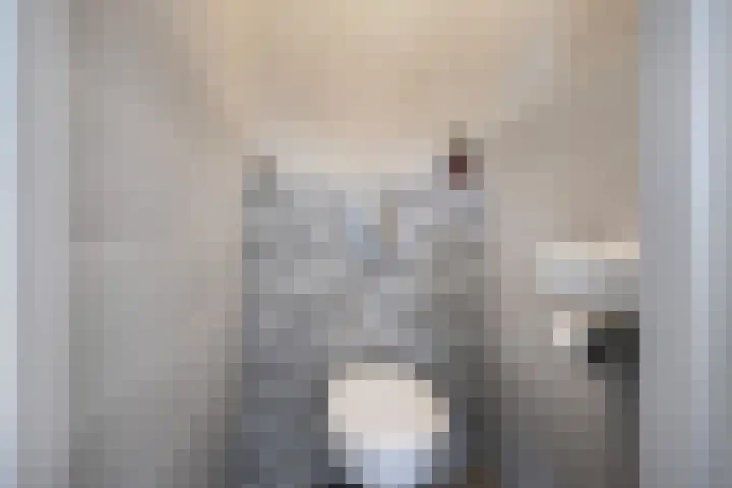 Sartrezijde 11 Zoetermeer thumbnail 18