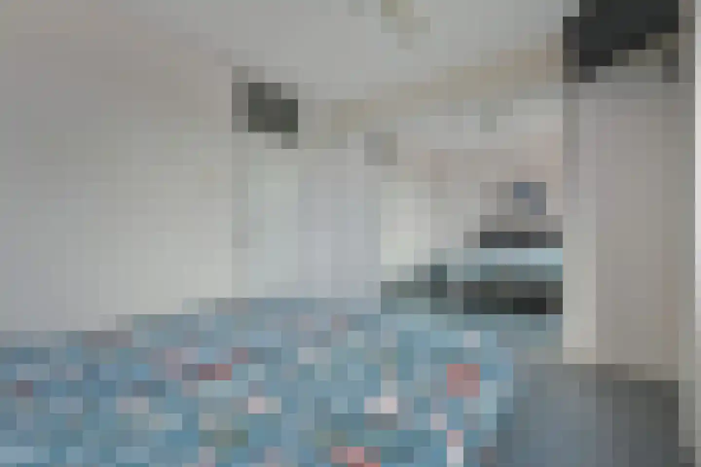 Sartrezijde 11 Zoetermeer thumbnail 21