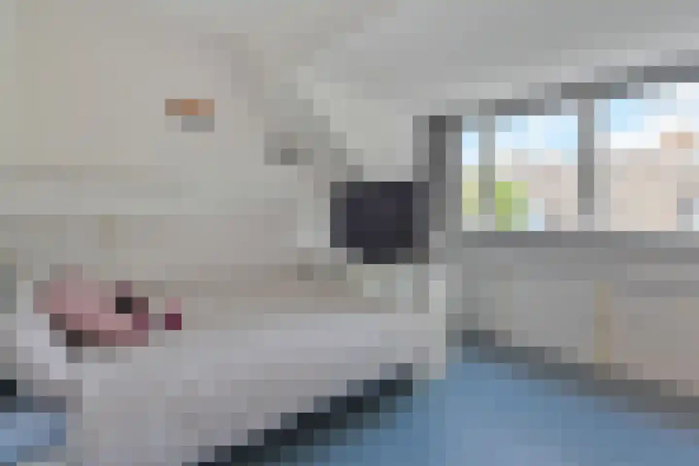 Sartrezijde 11 Zoetermeer thumbnail 22