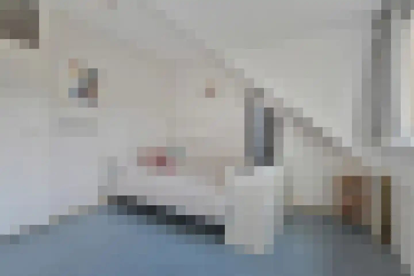 Sartrezijde 11 Zoetermeer thumbnail 23