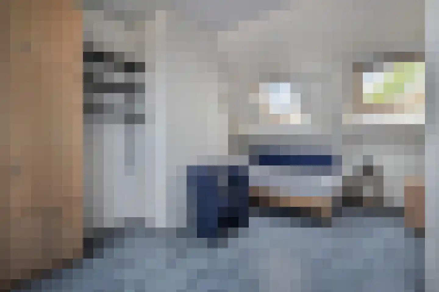 Sartrezijde 11 Zoetermeer thumbnail 28