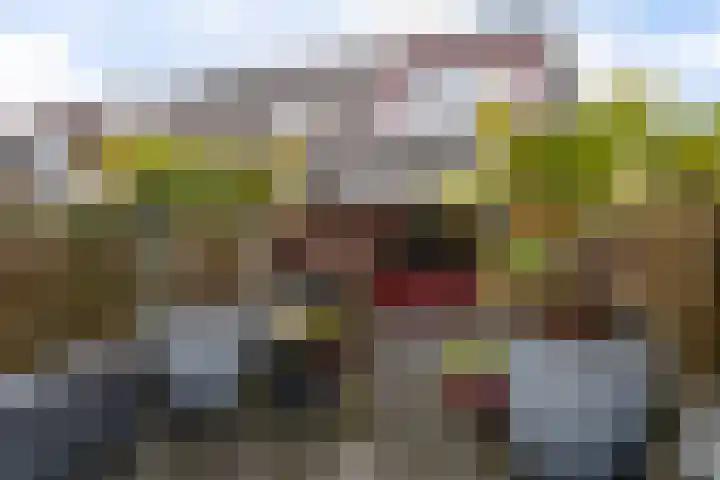 Sartrezijde 19 Zoetermeer thumbnail 24