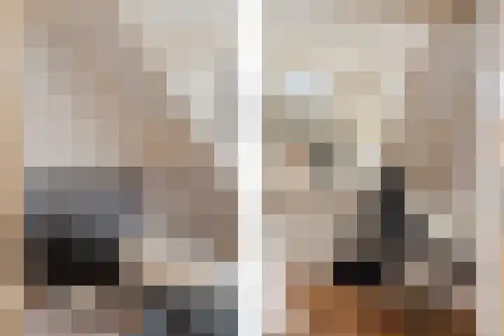 Sartrezijde 19 Zoetermeer thumbnail 28