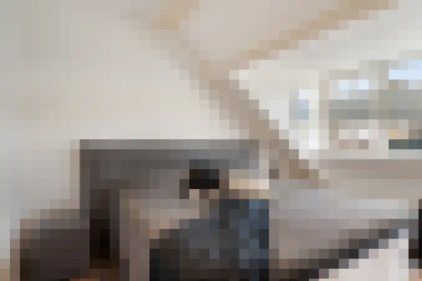 Sartrezijde 19 Zoetermeer thumbnail 29
