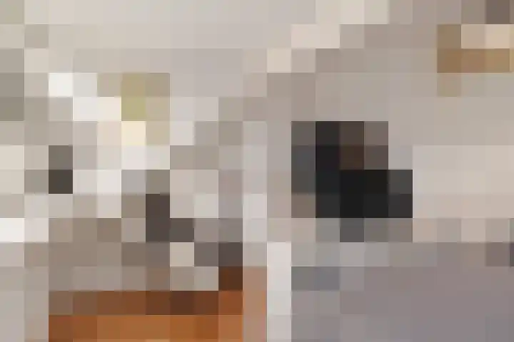 Sartrezijde 19 Zoetermeer thumbnail 30