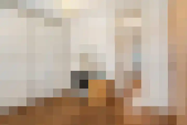 Sartrezijde 19 Zoetermeer thumbnail 32