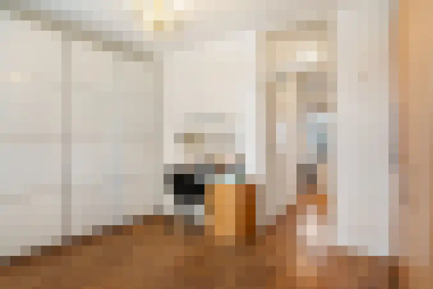 Sartrezijde 19 Zoetermeer thumbnail 32