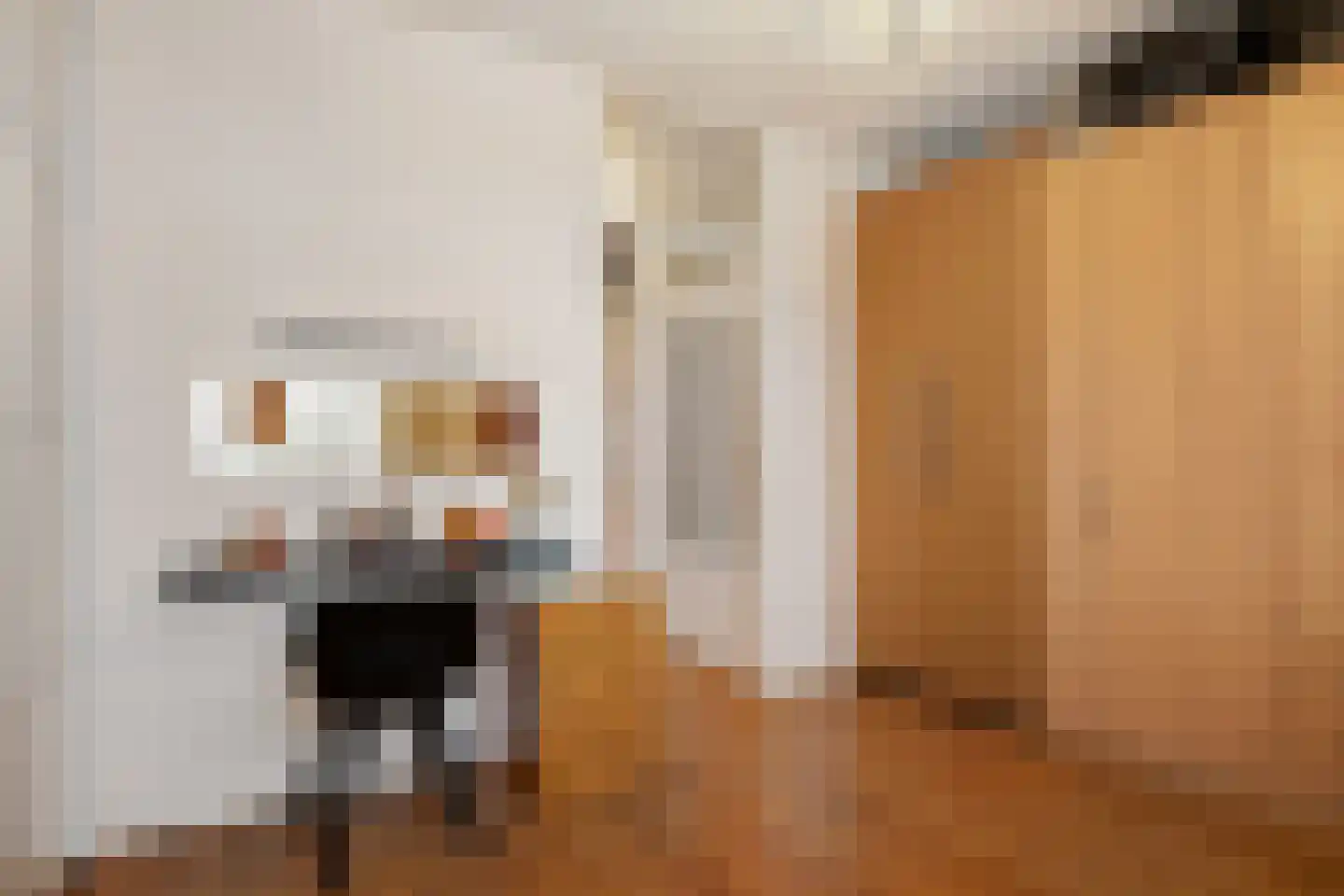 Sartrezijde 19 Zoetermeer thumbnail 33