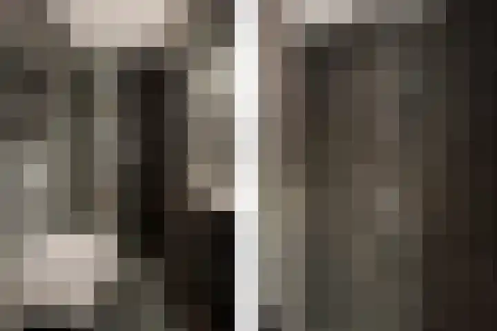 Sartrezijde 19 Zoetermeer thumbnail 36