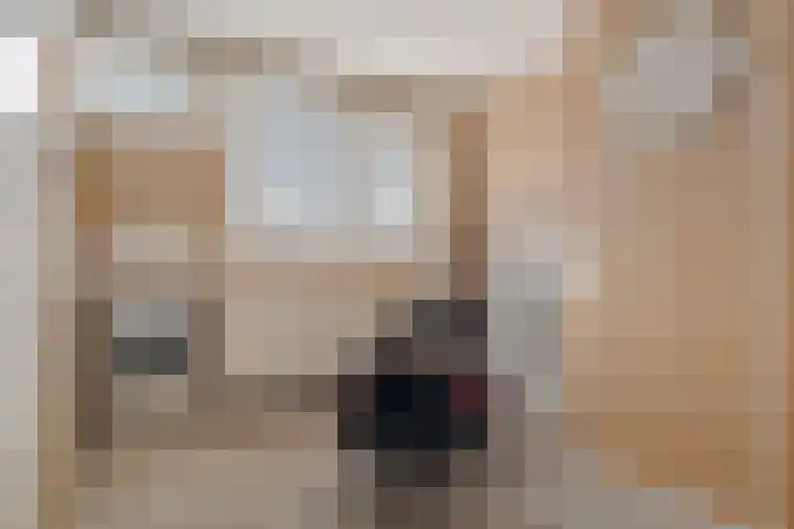 Sartrezijde 19 Zoetermeer thumbnail 38