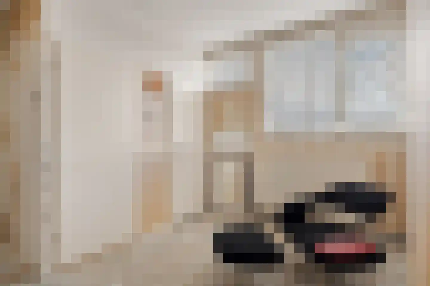 Sartrezijde 19 Zoetermeer thumbnail 41