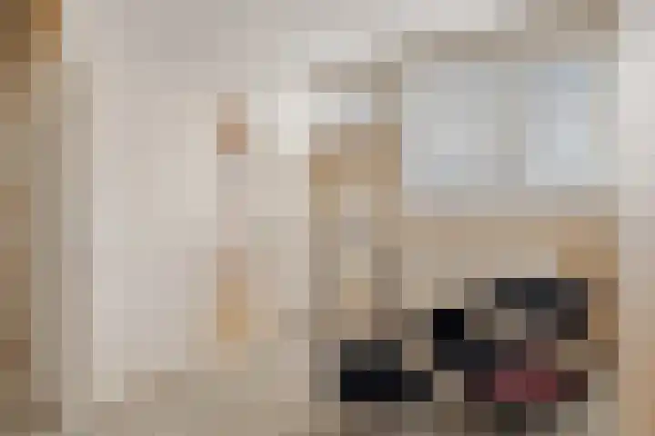 Sartrezijde 19 Zoetermeer thumbnail 41