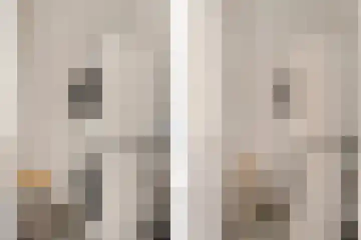 Sartrezijde 19 Zoetermeer thumbnail 42