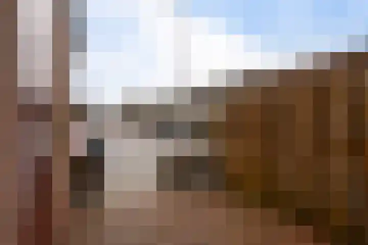 Sartrezijde 19 Zoetermeer thumbnail 8