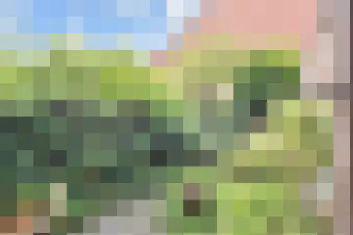 Sartrezijde 25 Zoetermeer thumbnail 20