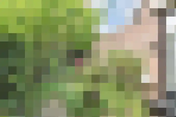 Sartrezijde 25 Zoetermeer thumbnail 21