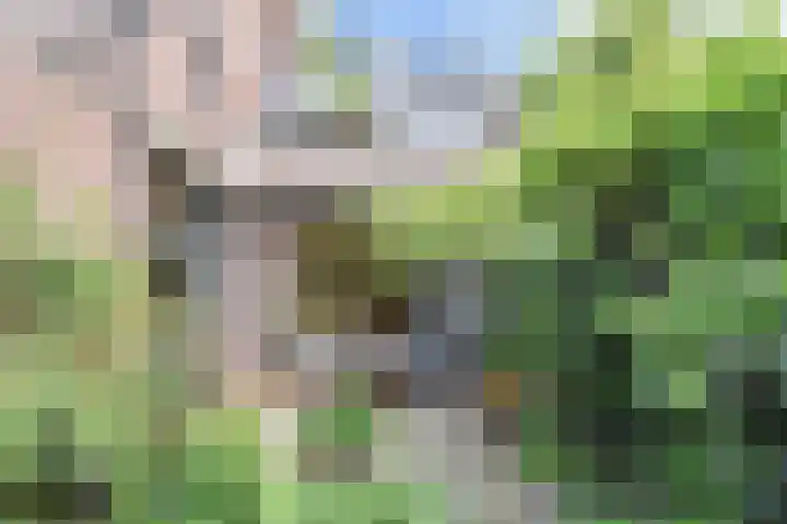 Sartrezijde 25 Zoetermeer thumbnail 22