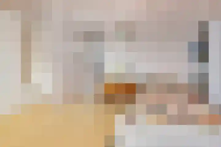 Sartrezijde 25 Zoetermeer thumbnail 27