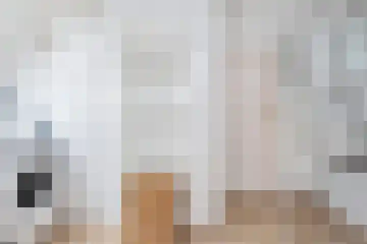 Sartrezijde 25 Zoetermeer thumbnail 32