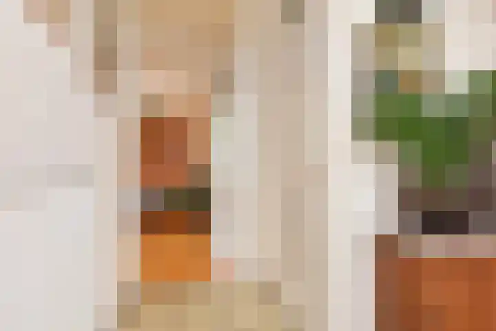 Sartrezijde 25 Zoetermeer thumbnail 7