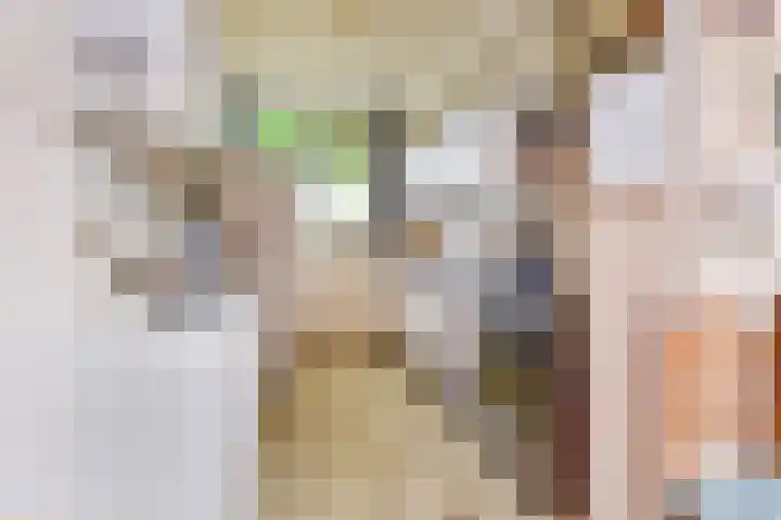 Sartrezijde 25 Zoetermeer thumbnail 9