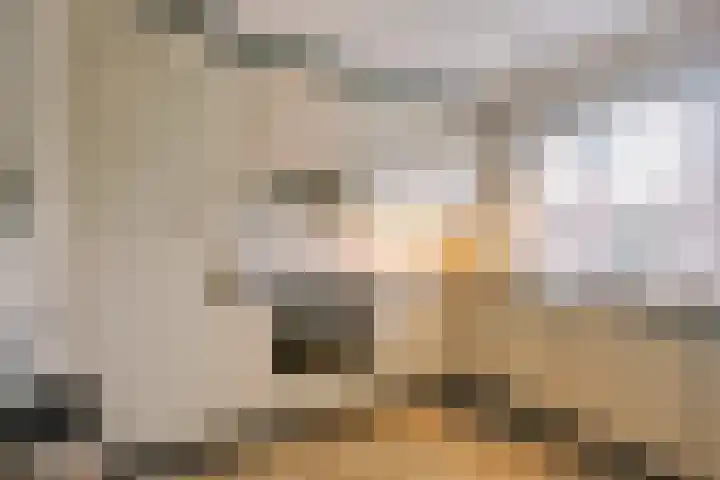 Sartrezijde 42 Zoetermeer thumbnail 12