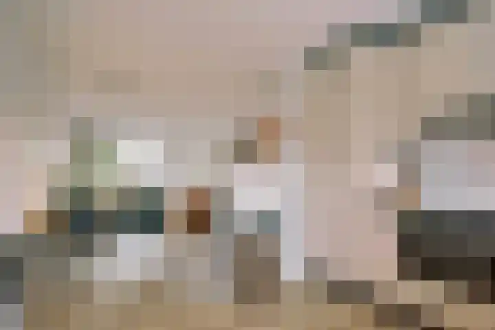 Sartrezijde 42 Zoetermeer thumbnail 13