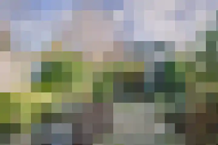 Sartrezijde 42 Zoetermeer thumbnail 14