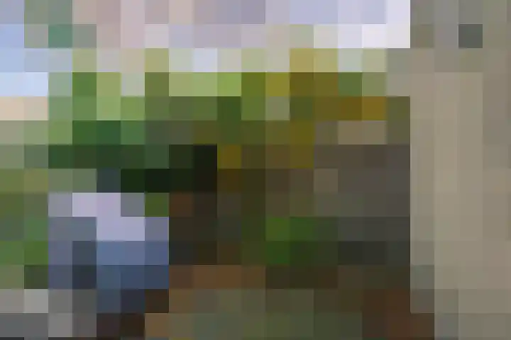 Sartrezijde 42 Zoetermeer thumbnail 18