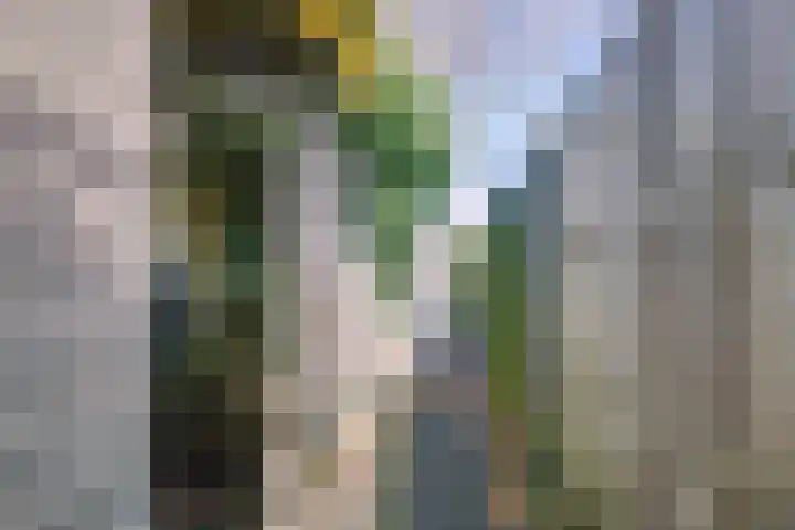 Sartrezijde 42 Zoetermeer thumbnail 19