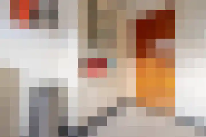 Sartrezijde 42 Zoetermeer thumbnail 21