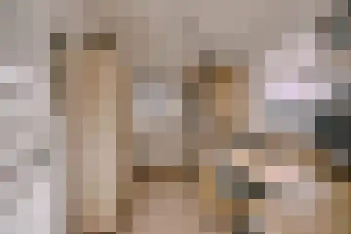Sartrezijde 42 Zoetermeer thumbnail 23