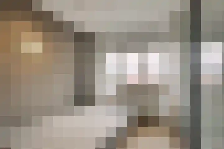 Sartrezijde 42 Zoetermeer thumbnail 27