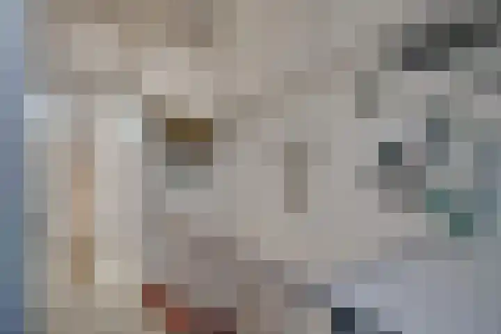 Sartrezijde 42 Zoetermeer thumbnail 33