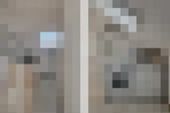Sartrezijde 42 Zoetermeer thumbnail 34
