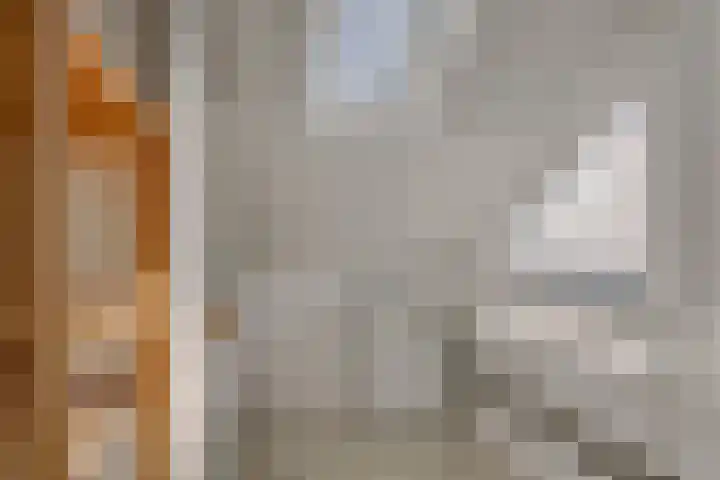 Sartrezijde 42 Zoetermeer thumbnail 36