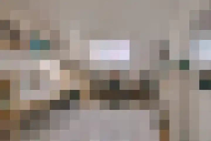 Sartrezijde 42 Zoetermeer thumbnail 37