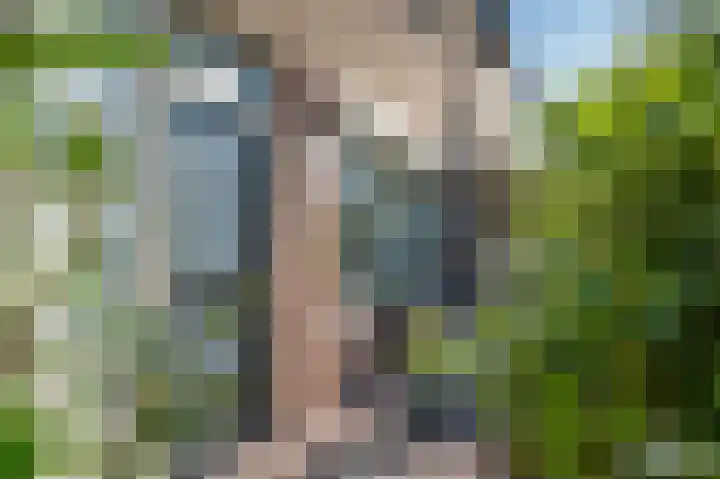 Sarvaasstraat 13 Leerdam thumbnail 7