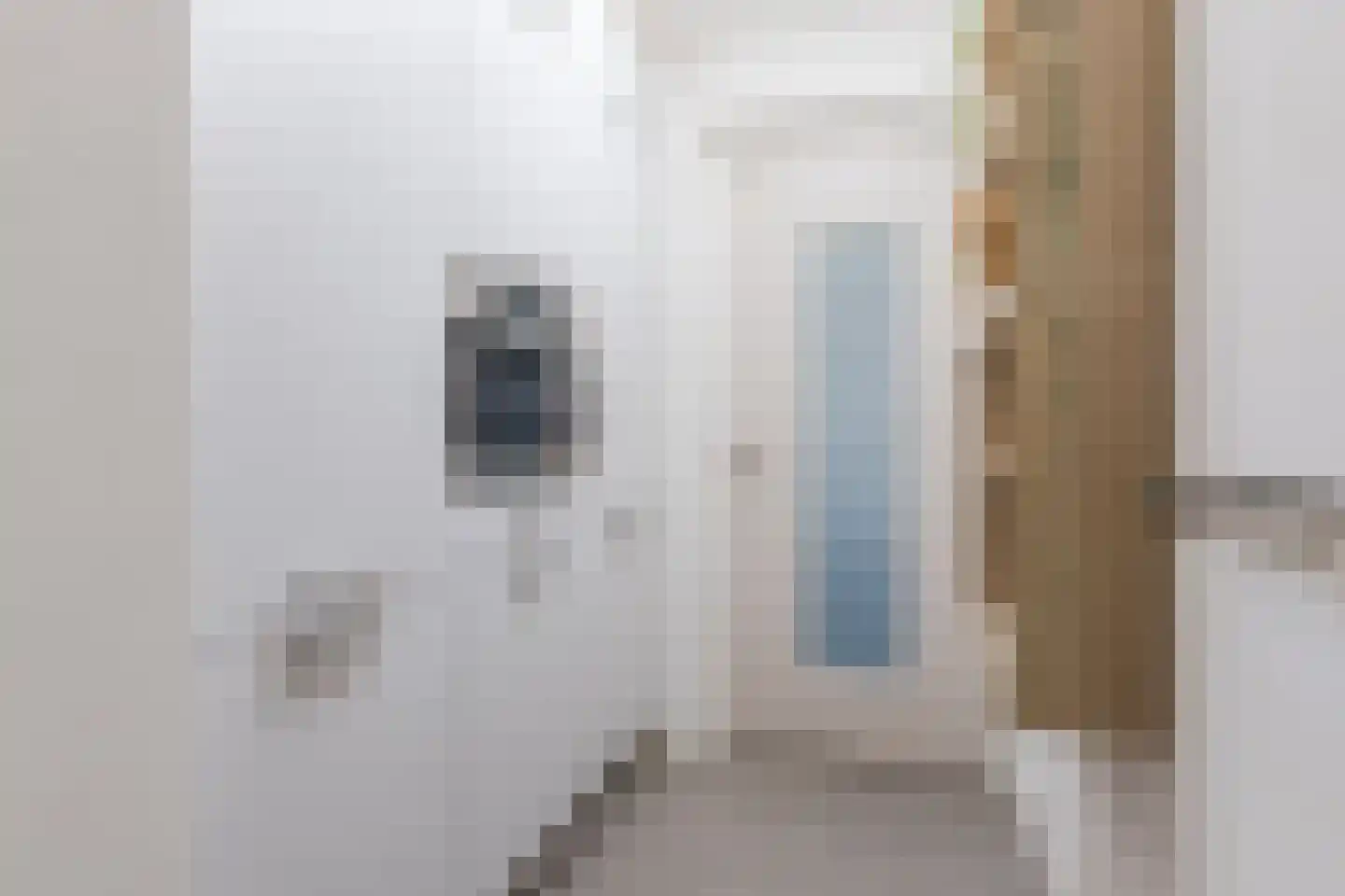 Sas van Gentstraat 29 Tilburg thumbnail 12