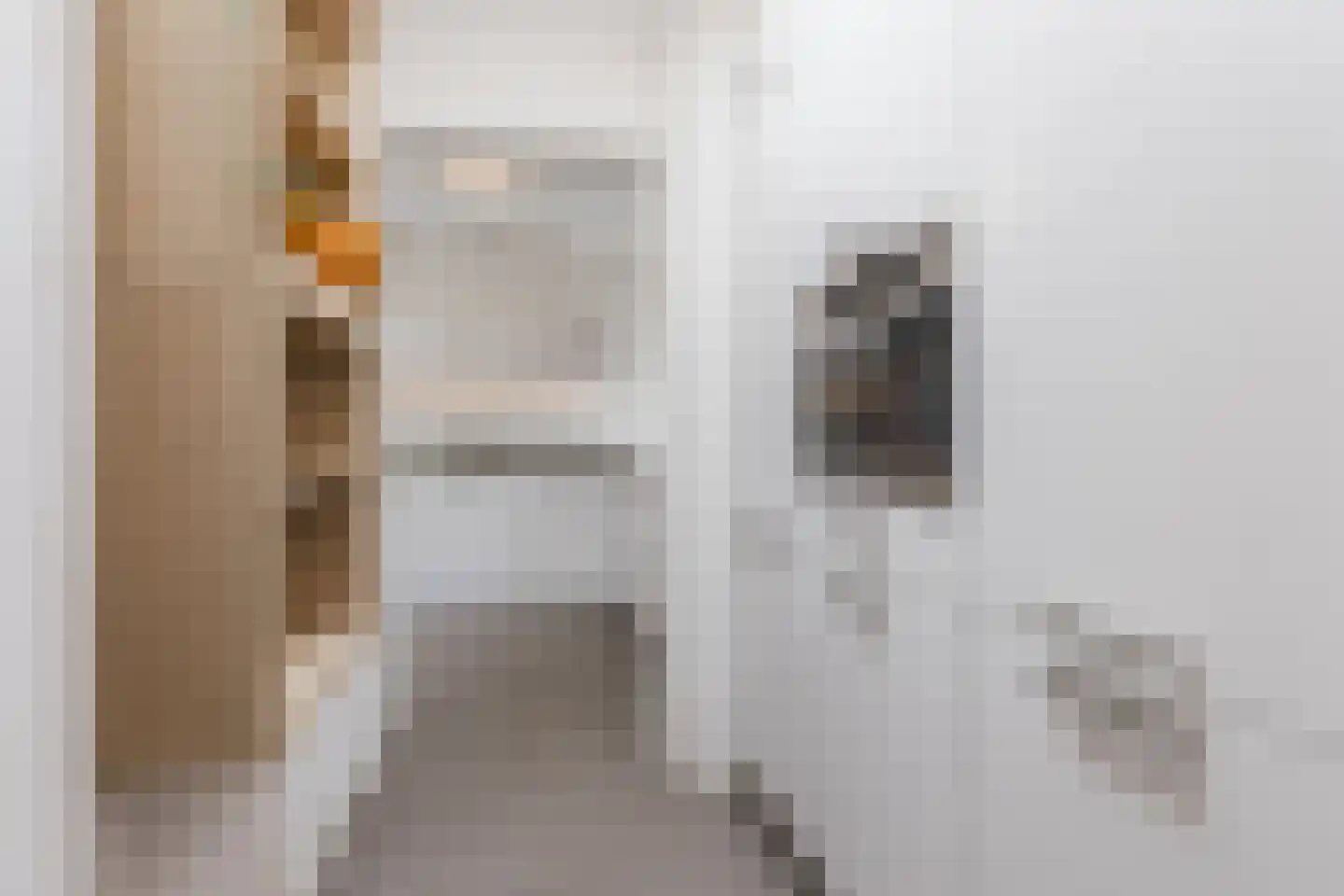 Sas van Gentstraat 29 Tilburg thumbnail 13