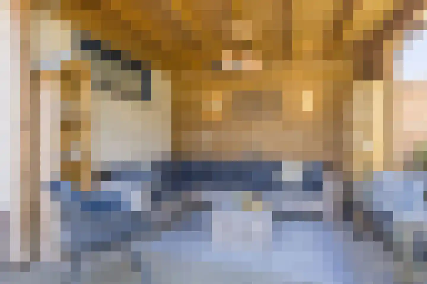 Sas van Gentstraat 29 Tilburg thumbnail 35