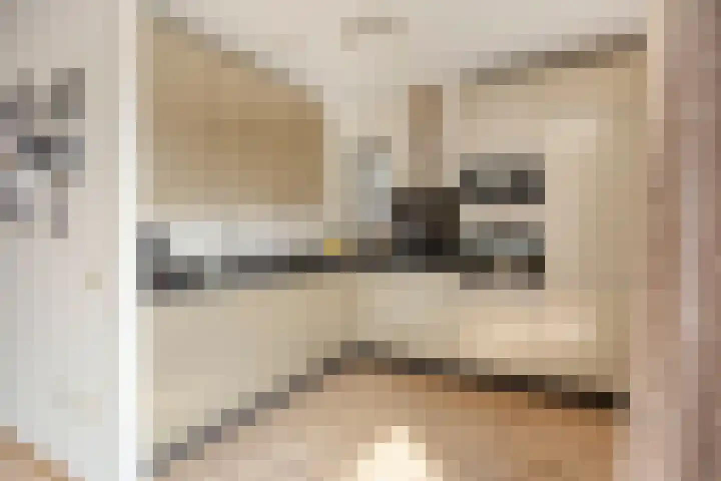 Sas van Gentstraat 65 Tilburg thumbnail 13