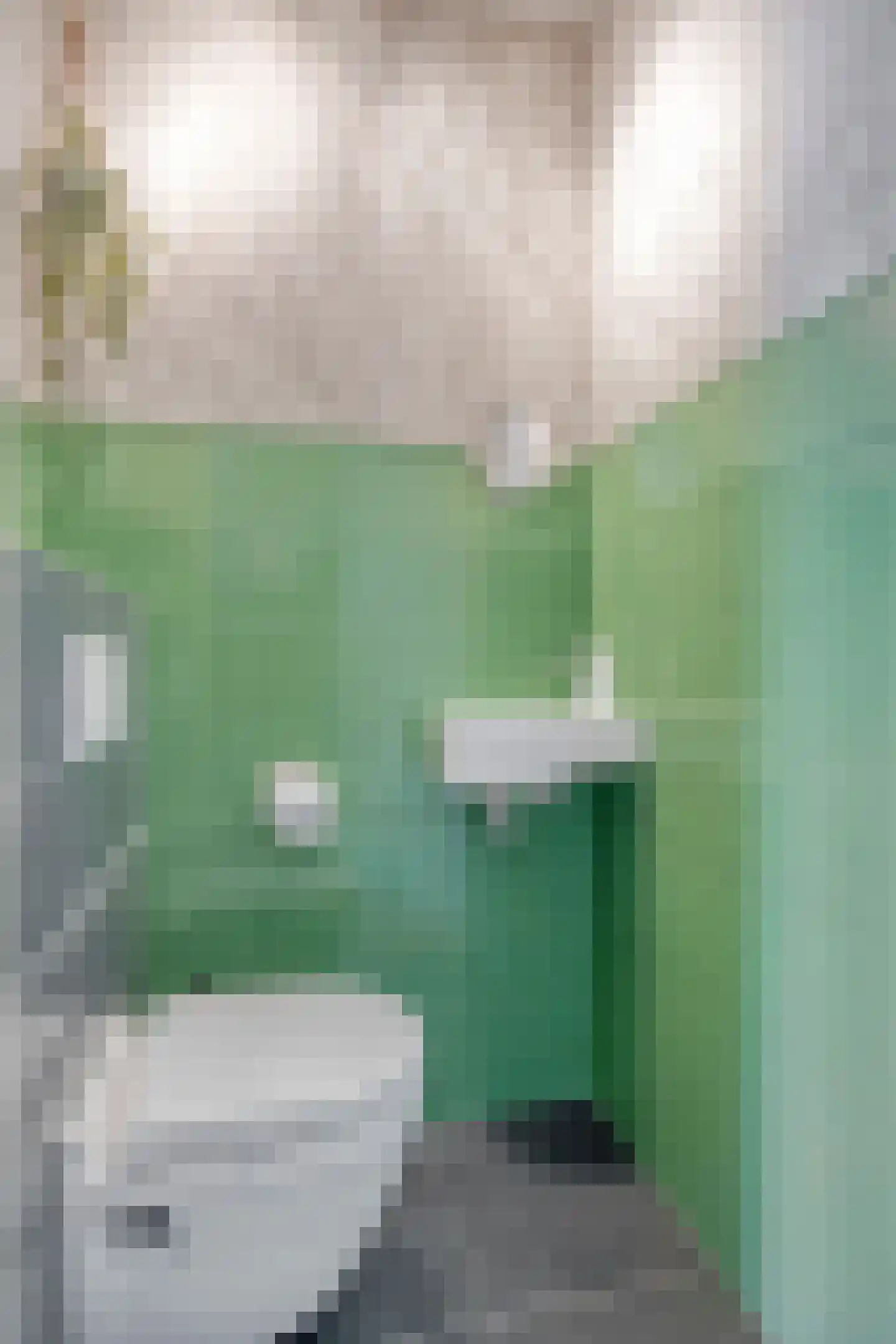 Sas van Gentstraat 65 Tilburg thumbnail 6